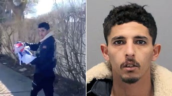 Palestinian migrant allegedly beat homeowner over his support for Israel