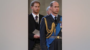 Prince Harry WON'T see Prince William