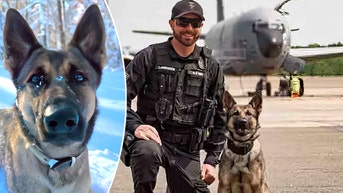 Police K-9 finds missing 12-year-old in freezing cold after tracking scent for miles