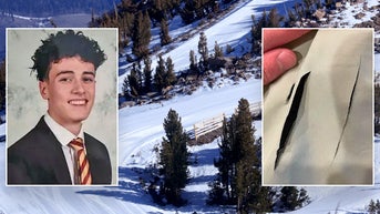 Quick-thinking snowboarder escapes mountain lion attack with just a few scratches