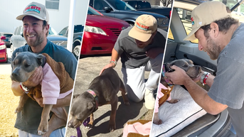 Miss Peaches: Rescue pup melts Dave Portnoy's heart and takes over social media