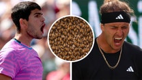You can't bee serious: Swarm of bees halts tennis match at Indian Wells (VIDEO)