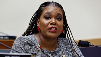 'Squad' member is considered most vulnerable ahead of Dem primary