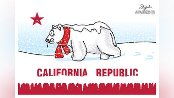 Political cartoons of the day