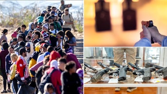 Judge issues ruling on whether illegal immigrants have right to own guns