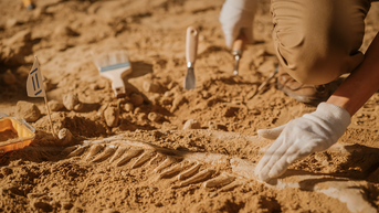Archaeologists make 'bone-chilling' discovery at construction site in small town