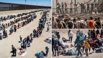 Senator fumes after data shows how many illegal immigrants are being DNA tested