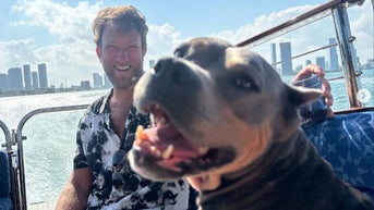 Dave Portnoy and his viral pit bull 'Miss Peaches' are making a big impact on animal shelters