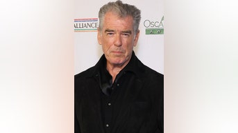 Pierce Brosnan pleads GUILTY