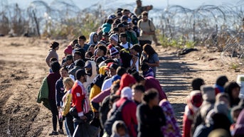 Judge rules illegal immigrants have gun rights protected by 2nd Amendment