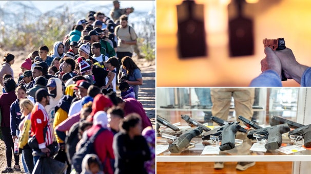 Judge issues ruling on whether illegal immigrants have right to own guns