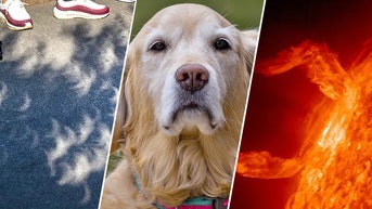 Brace yourself for 8 bizarre experiences during Monday’s rare celestial phenomenon