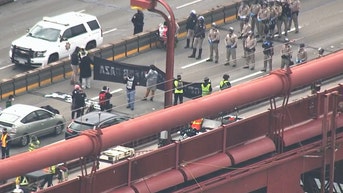 Morning mayhem as anti-Israel agitators disrupt thousands' commute