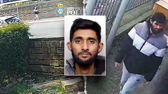 Suspect arrested after young mother stabbed to death while walking with her baby