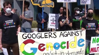 'Googlers against genocide' called out for office protests: 'entitlement'