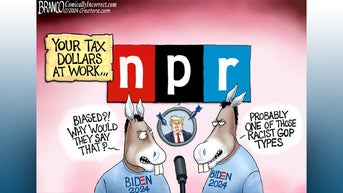 Political cartoons of the day