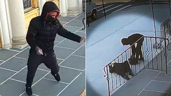 Family of grandma attacked on church steps blasts lawmakers' soft-on-crime policies