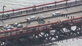 Morning mayhem as anti-Israel agitators disrupt thousands' commute