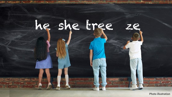 Michigan school district cancels proposed lesson on 'tree,' 'ze' pronouns after backlash