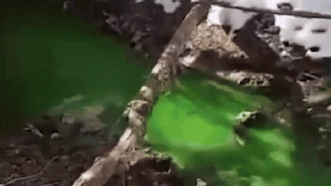 River suddenly turns bright green, residents demand tests amid toxic pollution