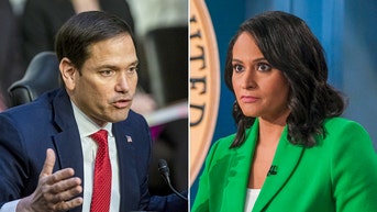 Rubio defends Trump, takes a swipe at Dems as interview with liberal host gets intense