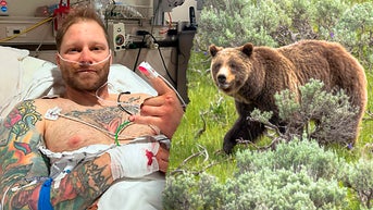 Veteran survives horrifying bear attack while hiking in popular national park