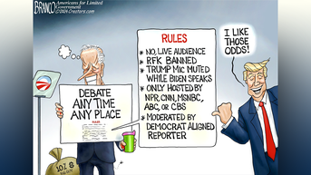 Political cartoons of the day