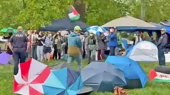 University of Virginia police arrest dozens of anti-Israel agitators at encampment