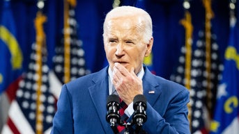 Dem strategists worry horror show election scenario playing out for Biden