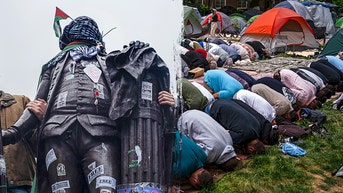 Professor delivers stark reality check to anti-Israel students taking over campus