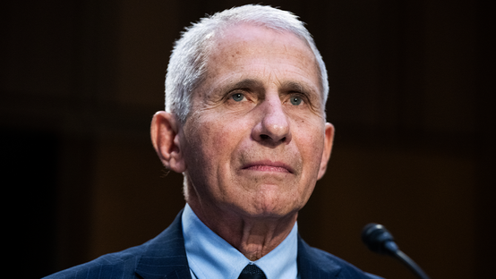 Top Fauci adviser allegedly destroyed evidence on 2020 pandemic origins