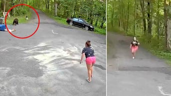 Harrowing video shows woman running to save dog from bear — until the bear turns on her
