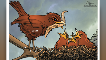 Political cartoons of the day