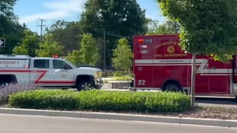 Multiple people injured in shooting at Michigan park, suspect is still at large