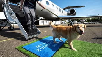 Luxury airline for pups in the doghouse after county barks about paw-licy