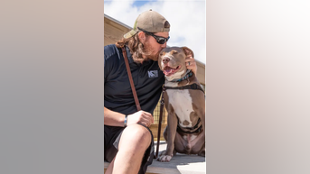 Service dogs SAVE veterans' lives