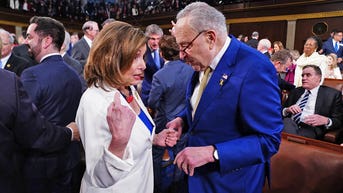 Pelosi bashes ‘very sad’ Netanyahu decision, gets cornered with Schumer’s stance