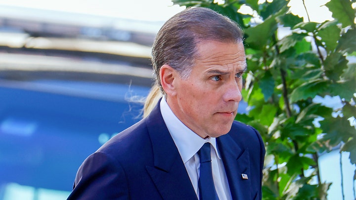 DOJ accused of hiding info on probe into whether Hunter Biden violated 'debauchery' law