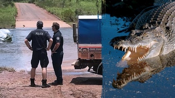 12-year-old girl killed by crocodile while swimming in creek