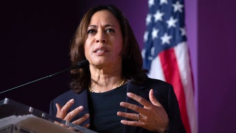 Black Lives Matter says Dems are ‘party of hypocrites’ for ‘installing’ Kamala Harris