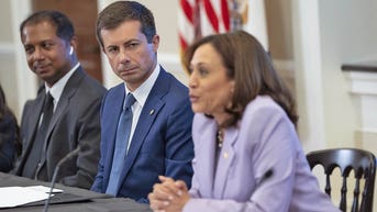 Harris has reportedly whittled down list of potential running mates to six candidates - Fox News