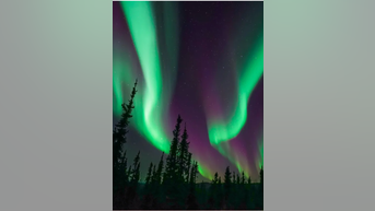 Northern Lights sighted across US - Fox News