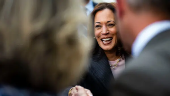 Billionaire has advice for Dems who want to rush to nominate Kamala Harris