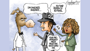 Political cartoons of the day