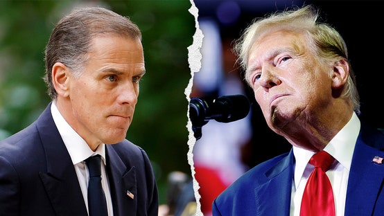 Divided Opinions on Trump and Hunter Biden Sentencing