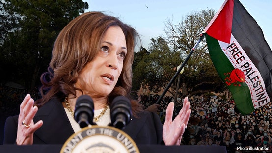 Kamala Harris Defends Anti-Israel Protests, Promises to Investigate Conditions in Gaza