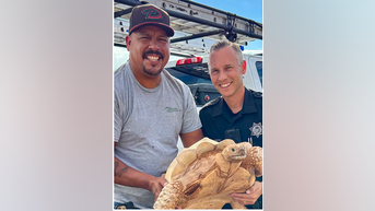 Arizona police RESCUE tortoise - Fox News