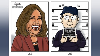 Political cartoons of the day - Fox News