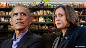 Obama economist comes out swinging against VP Harris’ plan: Not based in ‘reality’ - Fox News