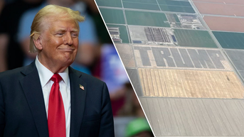 Farmer builds mile-long reminder that Trump has fans in deep blue territory - Fox News